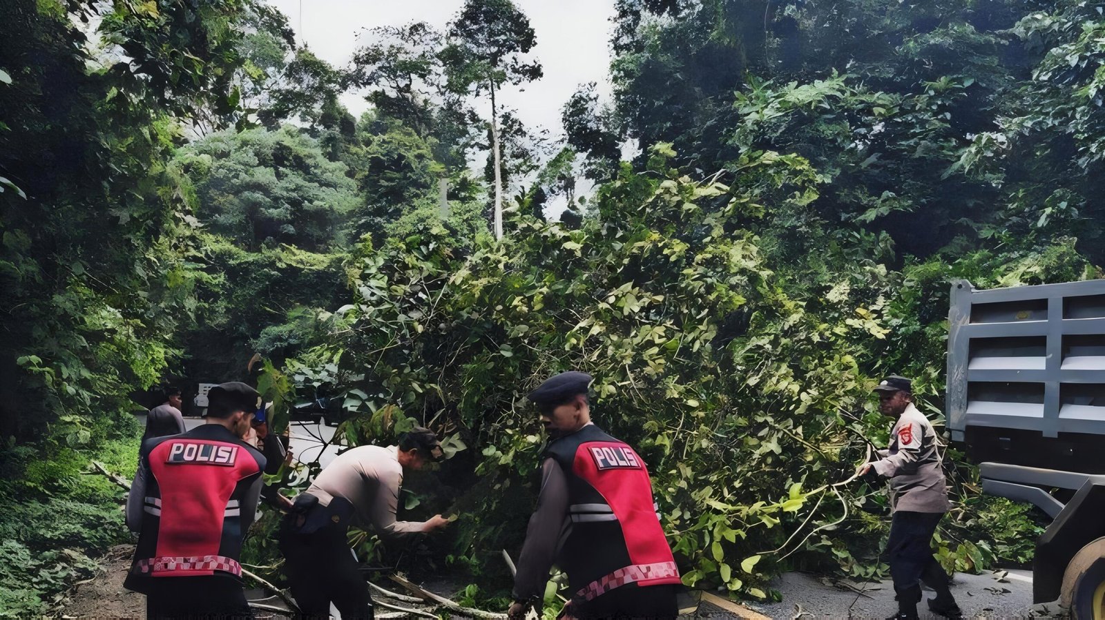 gsm YrDqBLbDylSBJBW6 1 scaled