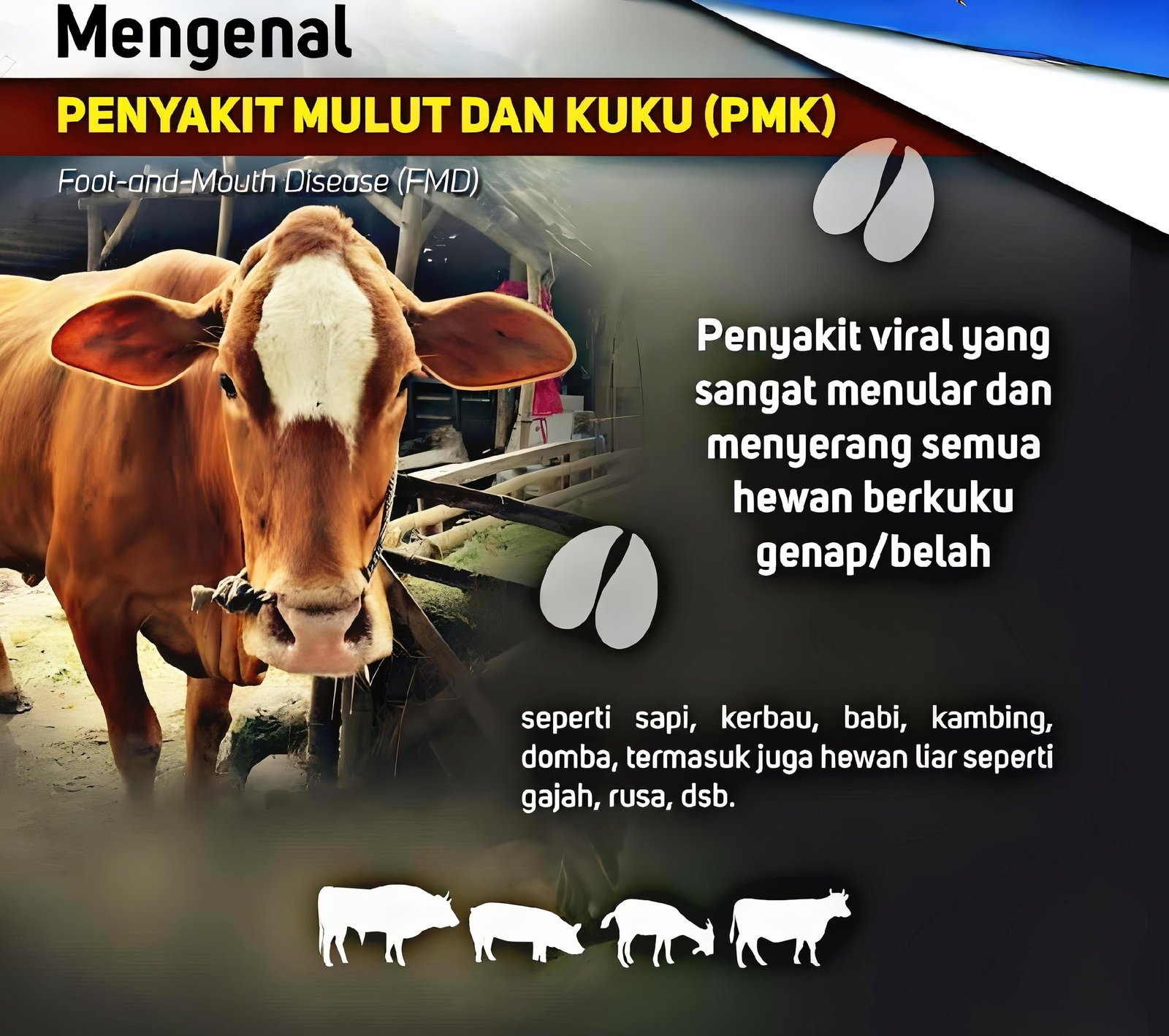 mengenal penyakit menular mv02pLvyB3h5klBp 2