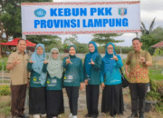 Lewat HATINYA PKK, Purnama Wulan Sari Dorong Kemandirian Pangan dan Ekonomi Keluarga dari Pekarangan Rumah