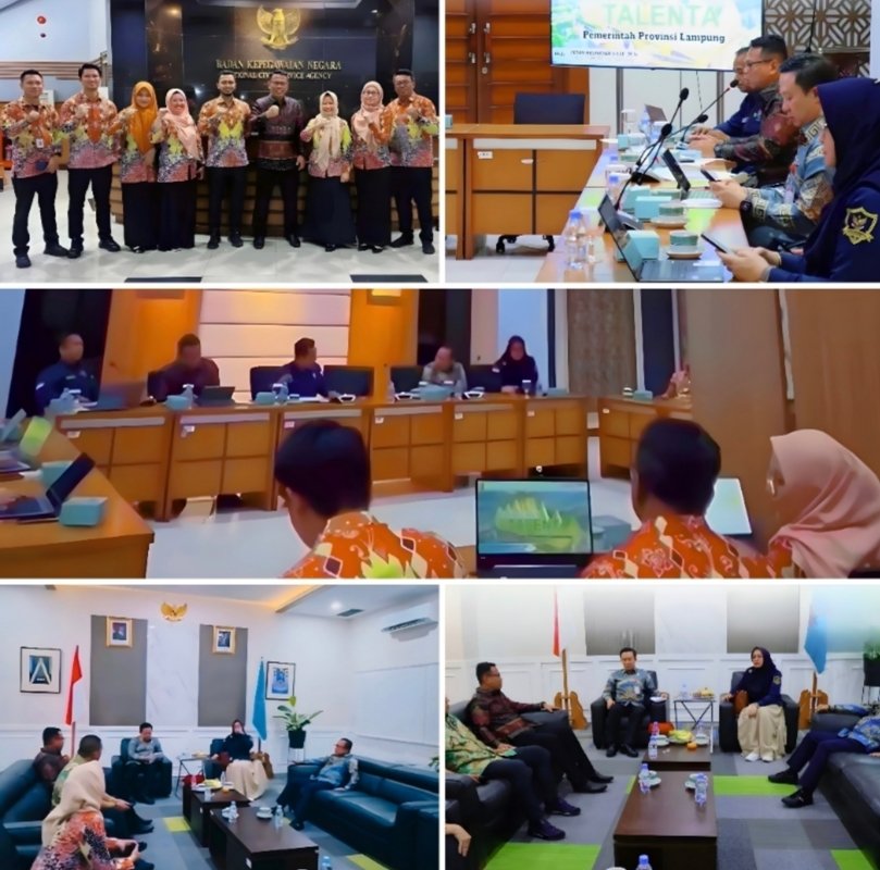 Raih Apresiasi BKN, Lampung Gencarkan Manajemen Talenta ASN Lewat Aplikasi BerTAPIS