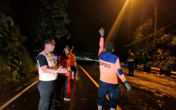 Longsor Tutup Jalinbar Batu Keramat, BPBD Tanggamus Gerak Cepat Pulihkan Lalu Lintas