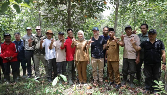 Buka Peluang Investasi Hijau dengan Amazon, Pemprov Lampung Dorong Perdagangan Karbon Berkelanjutan