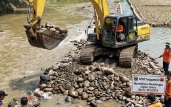 Gerak Cepat BPBD Selamatkan Puluhan Hektare Sawah di Limau
