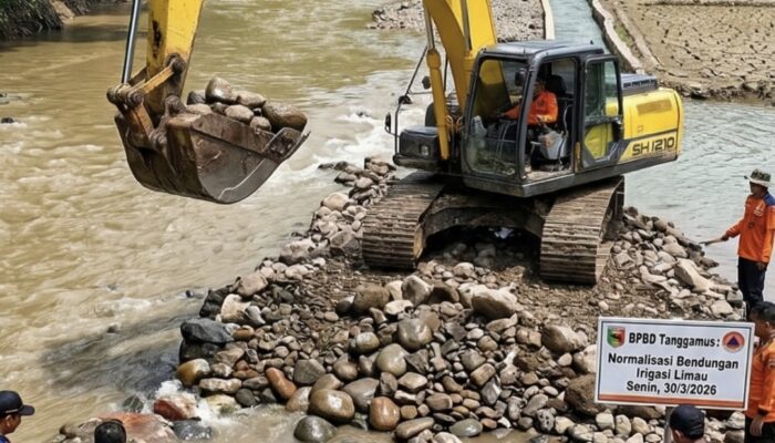 Gerak Cepat BPBD Selamatkan Puluhan Hektare Sawah di Limau