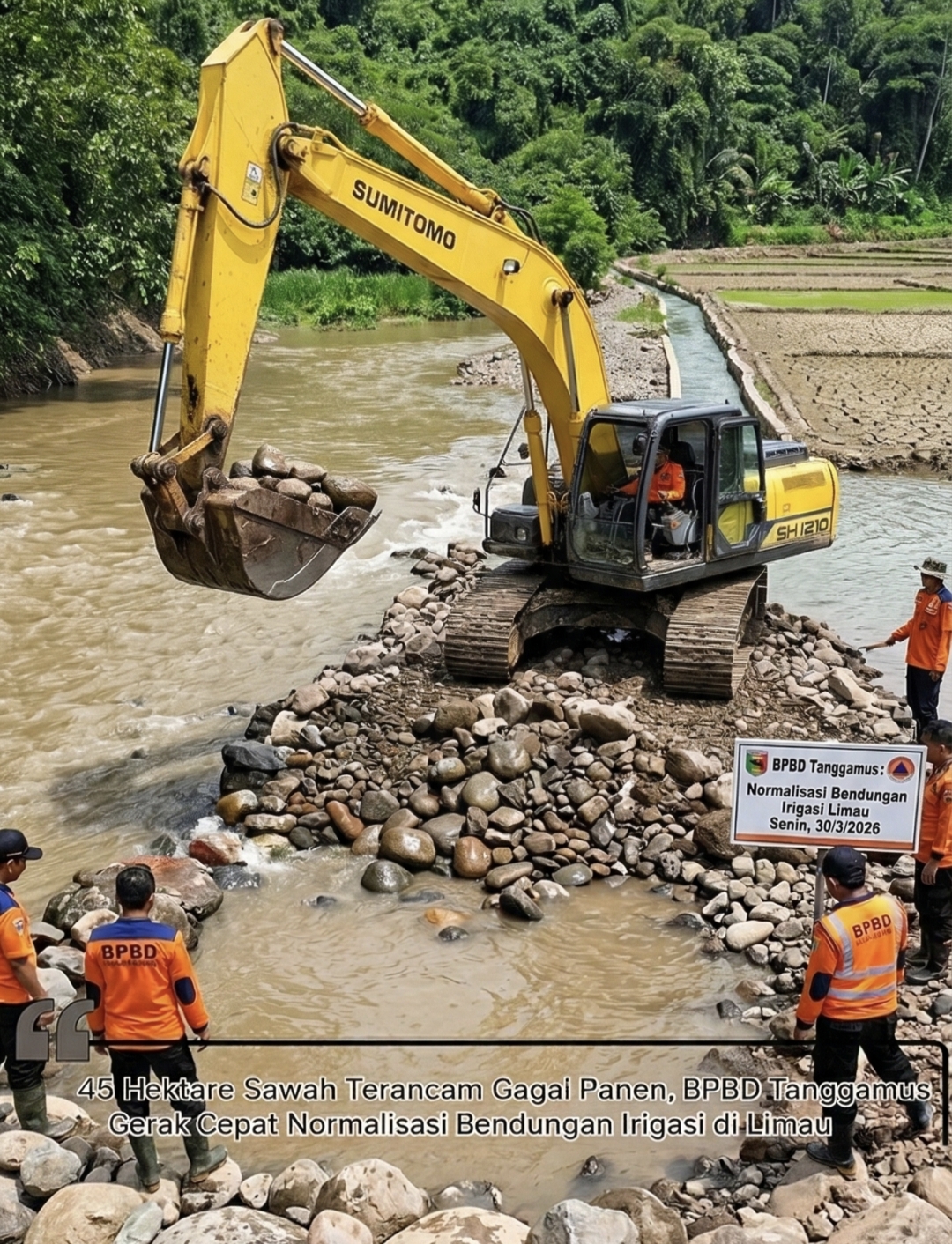 Gerak Cepat BPBD Selamatkan Puluhan Hektare Sawah di Limau