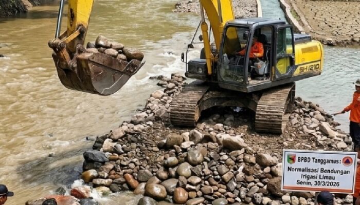 Gerak Cepat BPBD Selamatkan Puluhan Hektare Sawah di Limau