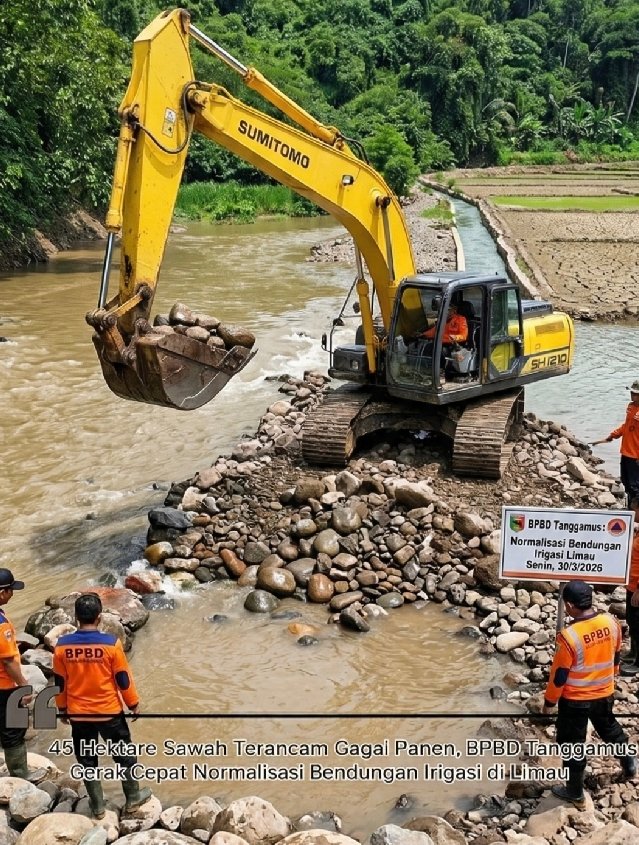 Gerak Cepat BPBD Selamatkan Puluhan Hektare Sawah di Limau