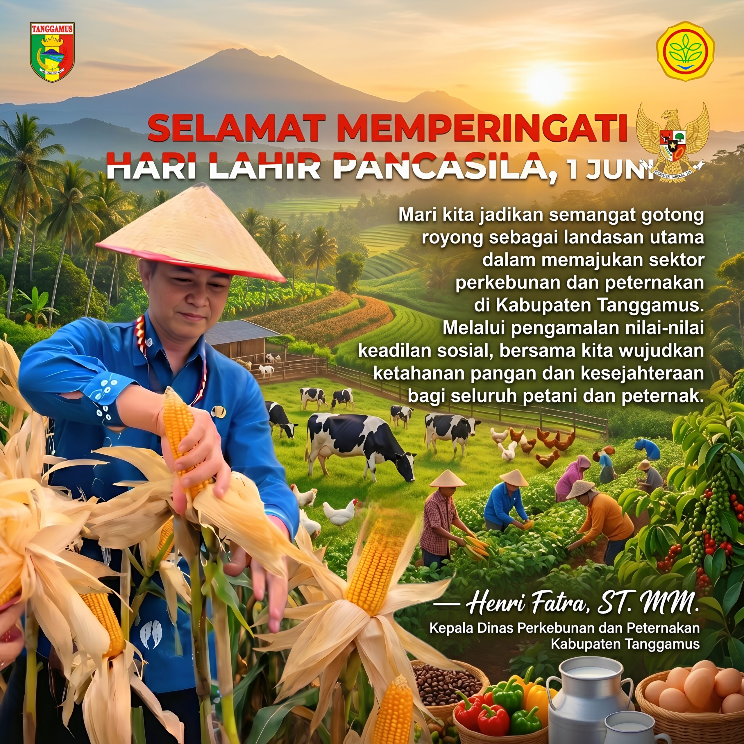banner 1976x3060