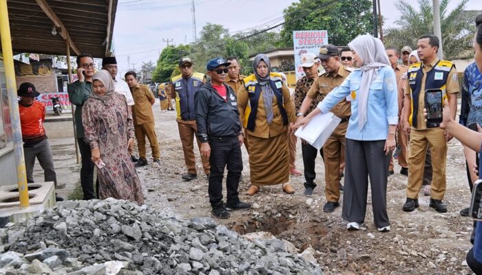 Kabar Gembira Warga Pringsewu! Wagub Jihan Kebut Perbaikan Jalur Vital Pardasuka, Maret Langsung Dibeton