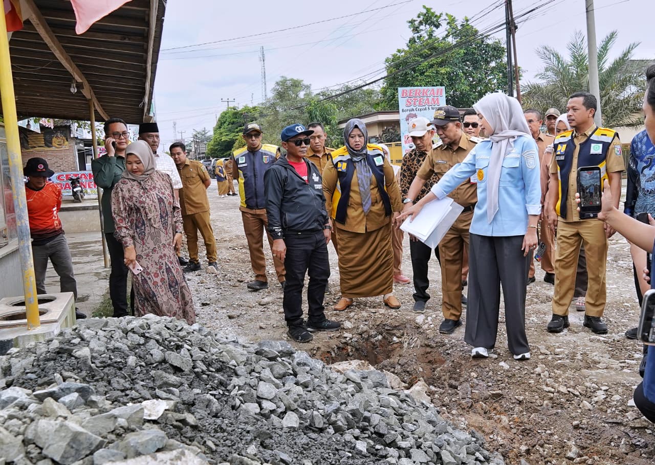 Kabar Gembira Warga Pringsewu! Wagub Jihan Kebut Perbaikan Jalur Vital Pardasuka, Maret Langsung Dibeton