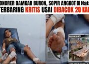 Tragis! Hanya karena Masalah Sepele, Honorer Damkar di Lampung Selatan Tega Bacok Tetangganya Sendiri