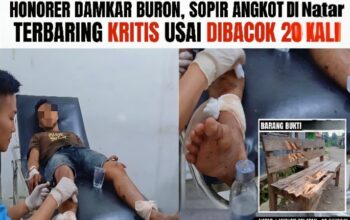 Tragis! Hanya karena Masalah Sepele, Honorer Damkar di Lampung Selatan Tega Bacok Tetangganya Sendiri