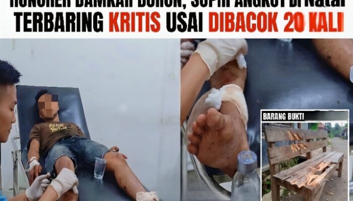 Tragis! Hanya karena Masalah Sepele, Honorer Damkar di Lampung Selatan Tega Bacok Tetangganya Sendiri